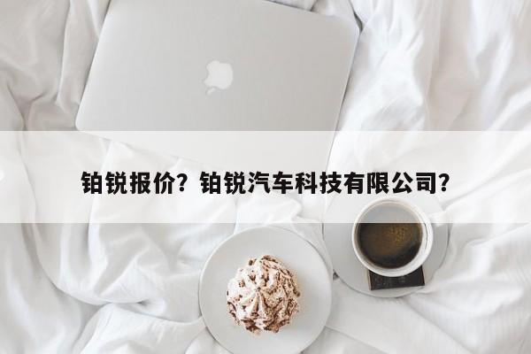 铂锐报价？铂锐汽车科技有限公司？