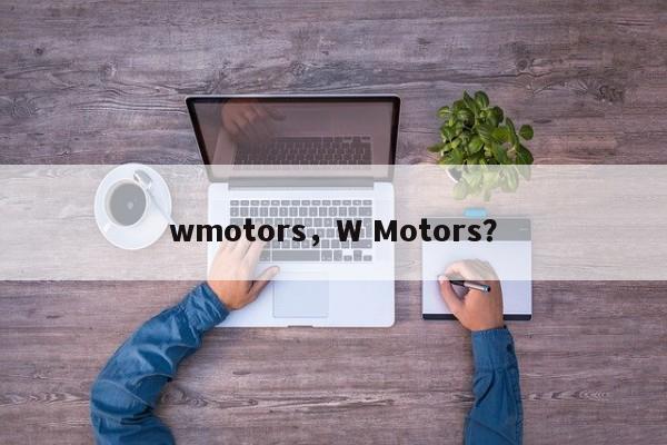 wmotors，W Motors？