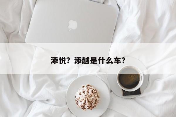 添悦？添越是什么车？