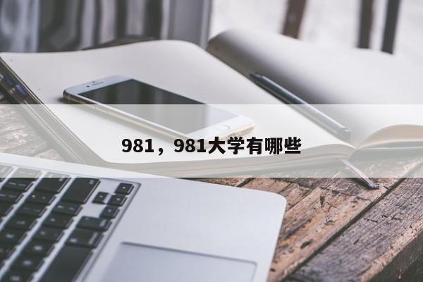 981，981大学有哪些