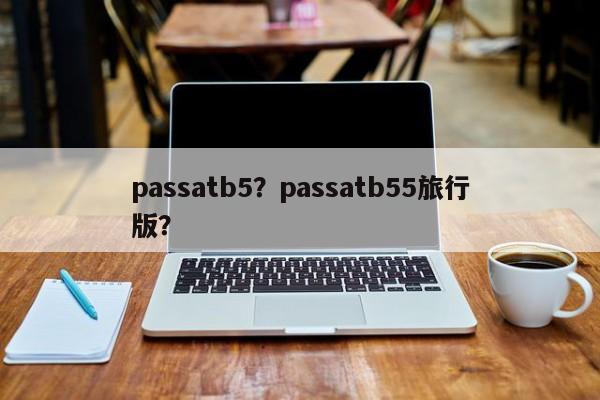 passatb5？passatb55旅行版？