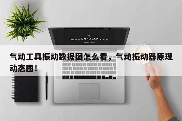 气动工具振动数据图怎么看，气动振动器原理动态图！