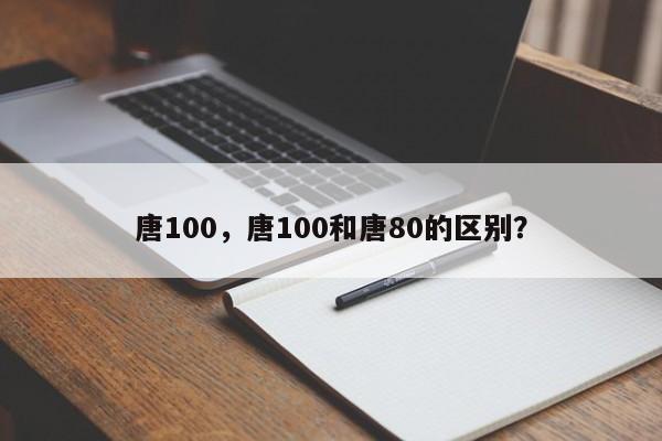 唐100，唐100和唐80的区别？