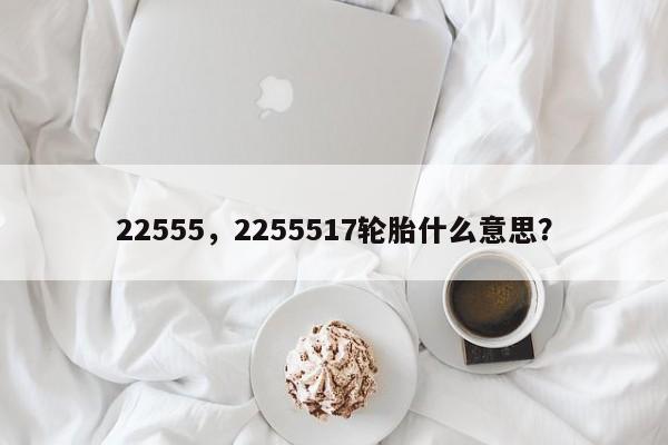 22555，2255517轮胎什么意思？