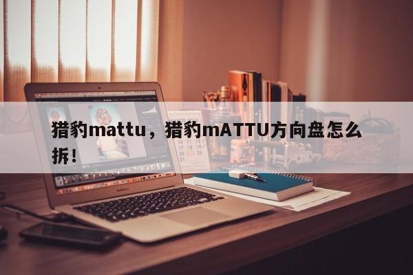 猎豹mattu，猎豹mATTU方向盘怎么拆！