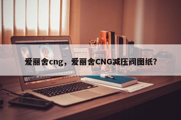 爱丽舍cng，爱丽舍CNG减压阀图纸？