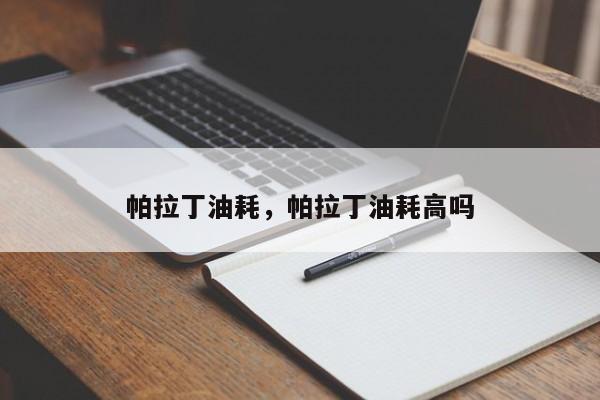 帕拉丁油耗，帕拉丁油耗高吗