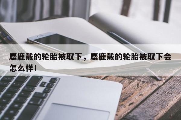 麋鹿戴的轮胎被取下，麋鹿戴的轮胎被取下会怎么样！